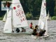 Thumbs/tn_039.jpg