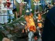 Thumbs/tn_067.jpg