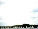 Thumbs/tn_06.jpg